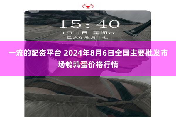 一流的配资平台 2024年8月6日全国主要批发市场鹌鹑蛋价格行情