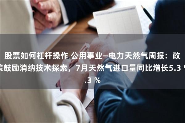 股票如何杠杆操作 公用事业—电力天然气周报：政策鼓励消纳技术探索，7月天然气进口量同比增长5.3 %