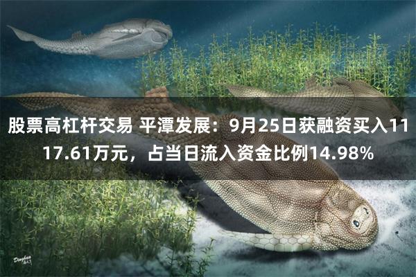 股票高杠杆交易 平潭发展：9月25日获融资买入1117.61万元，占当日流入资金比例14.98%