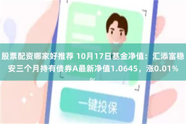 股票配资哪家好推荐 10月17日基金净值：汇添富稳安三个月持有债券A最新净值1.0645，涨0.01%