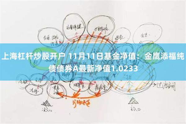 上海杠杆炒股开户 11月11日基金净值：金鹰添福纯债债券A最新净值1.0233