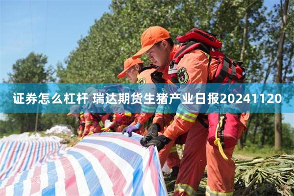 证券怎么杠杆 瑞达期货生猪产业日报20241120