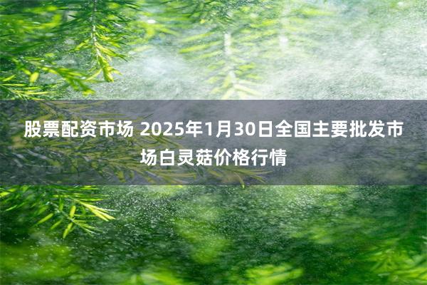 股票配资市场 2025年1月30日全国主要批发市场白灵菇价格行情