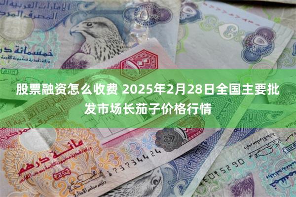 股票融资怎么收费 2025年2月28日全国主要批发市场长茄子价格行情